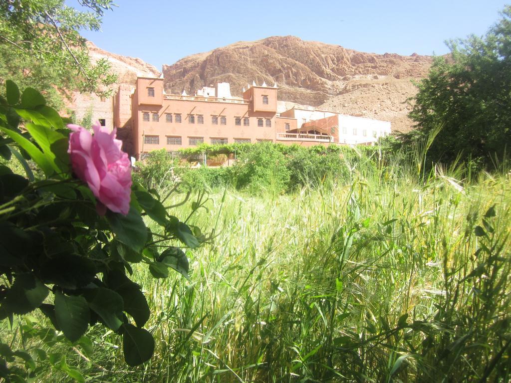 Hotel Awayou Bou Drarar Habitación foto